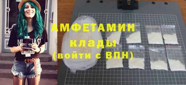 молекула духа Новозыбков