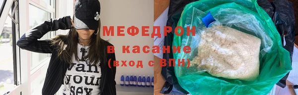индика Билибино