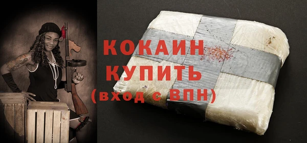 молекула духа Новозыбков