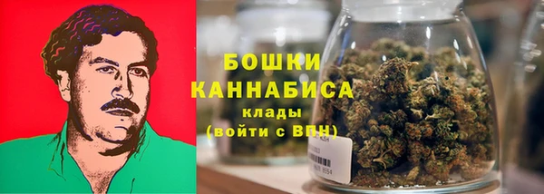 молекула духа Новозыбков