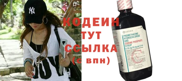 молекула духа Новозыбков