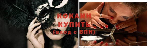 дживик Новодвинск