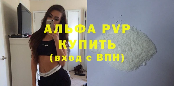 молекула духа Новозыбков