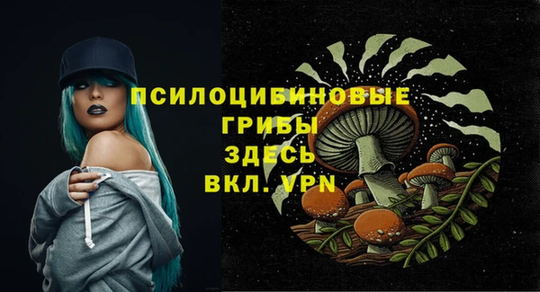спайс Нефтекумск