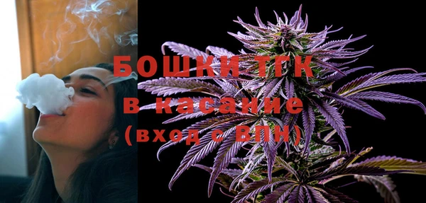 шишки Нея