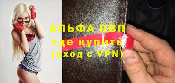 молекула духа Новозыбков
