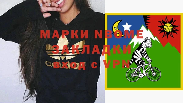 молекула духа Новозыбков