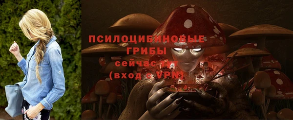 дживик Новодвинск
