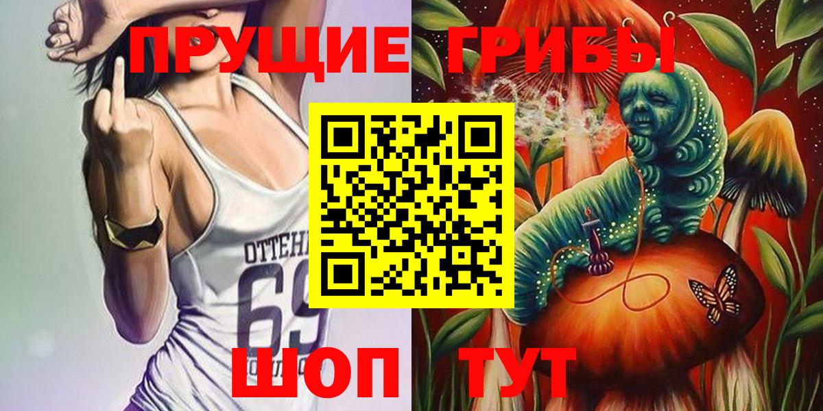 Псилоцибиновые грибы Psilocybe Фролово