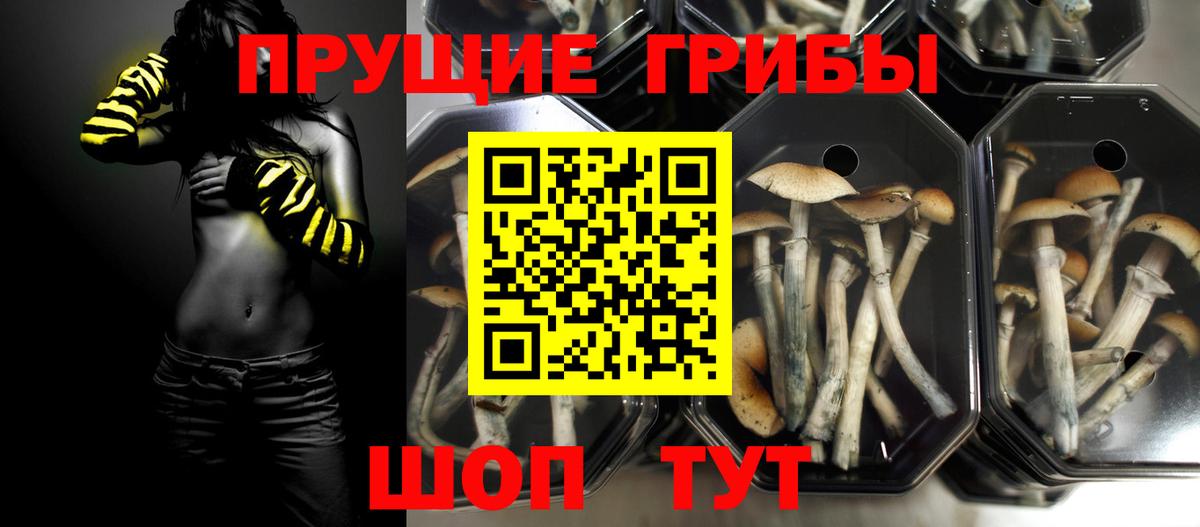 Галлюциногенные грибы ЛСД Фролово